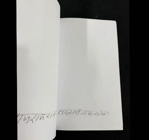 Neem Karoli Baba Journal - Image 3